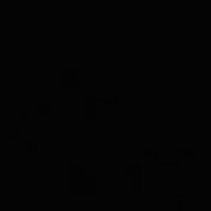 Meet your Posher, Sundae